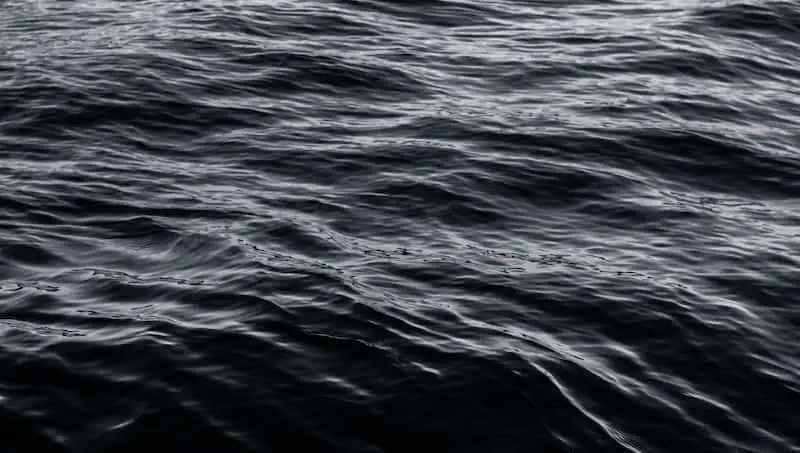 A photograph of still, dark water.